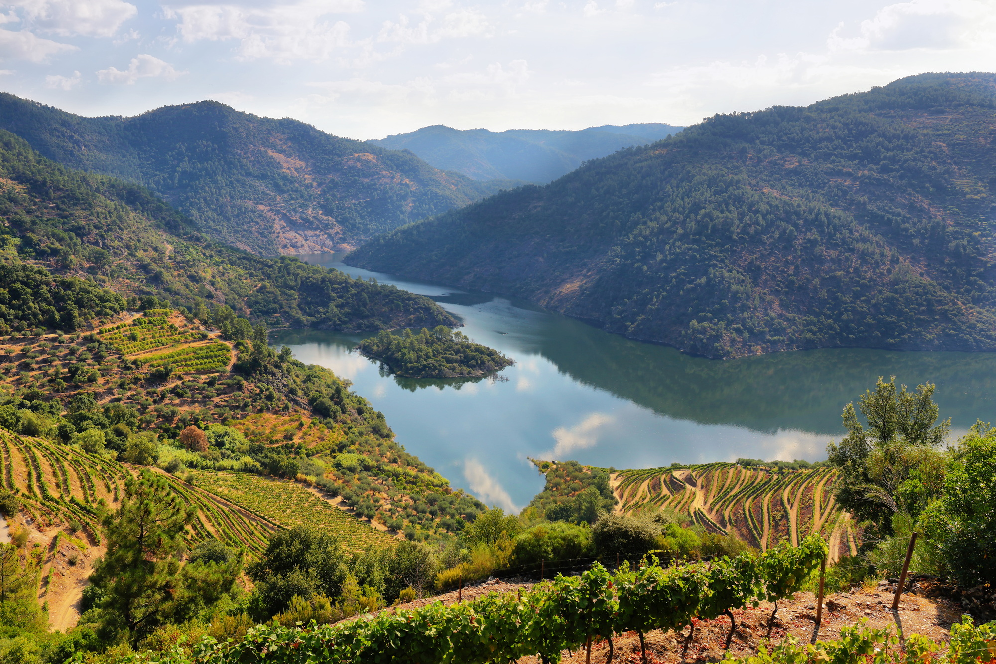 Scenic view of Alto Douro Vinhateiro, Portugal